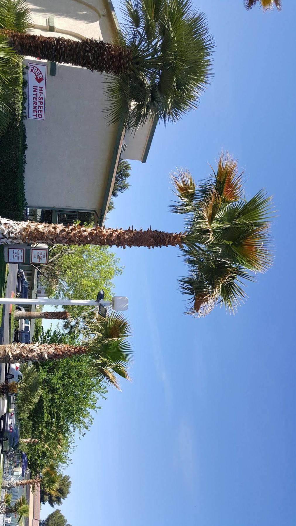 Town House Motel Lancaster Bagian luar foto